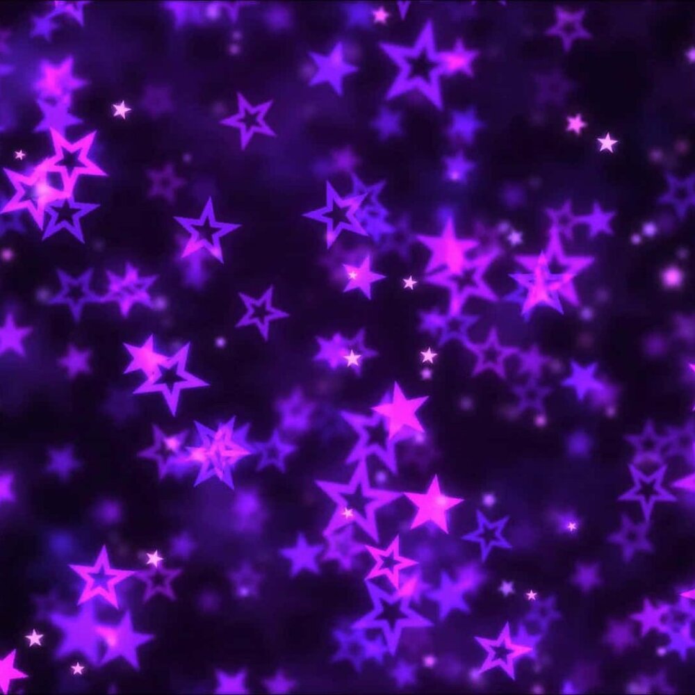 Meet your Posher, Dani